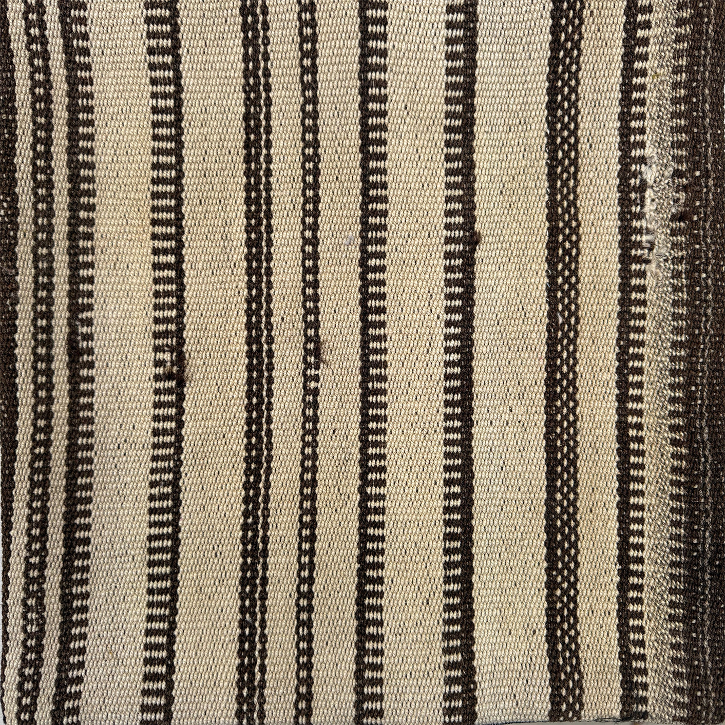 46054949